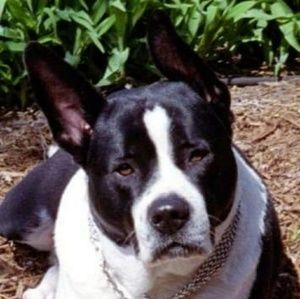 Meet your Posher, Georgianne